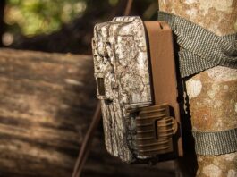 The Hunter’s Honor System: Why some states are banning trail cameras