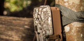 The Hunter’s Honor System: Why some states are banning trail cameras