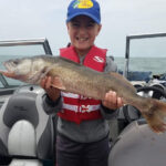2025 walleye hatch ranks among largest in Lake Erie history
