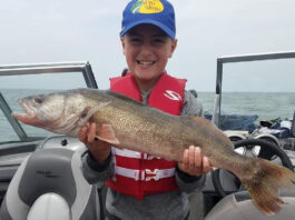 2025 walleye hatch ranks among largest in Lake Erie history