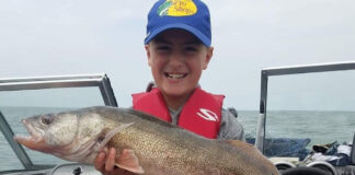2025 walleye hatch ranks among largest in Lake Erie history