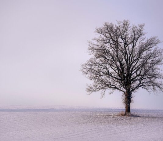 Tough times are better faced together