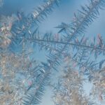 Joy, agony and the surprises that keep us humble