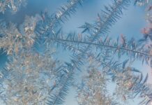 Joy, agony and the surprises that keep us humble