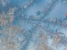 Joy, agony and the surprises that keep us humble