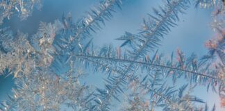 Even the longest winter will end