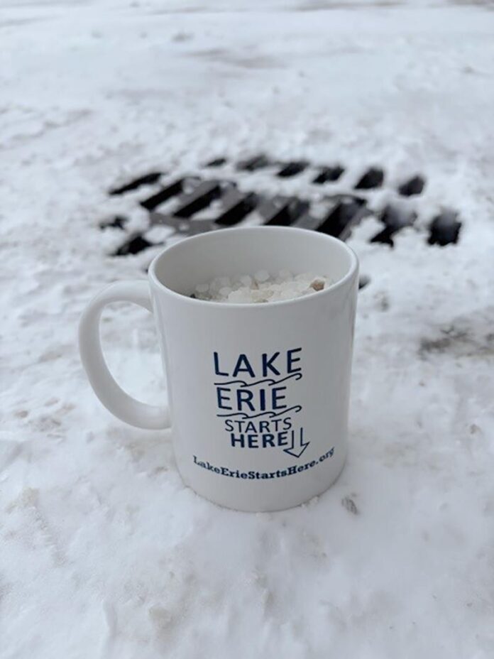 GeaugaSWCD_road salt mug_RGB