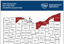 Box tree moth quarantine expands in Ohio, West Virginia