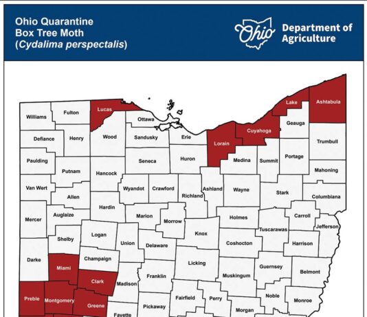 Box tree moth quarantine expands in Ohio, West Virginia